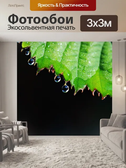 Фотообои Лист
