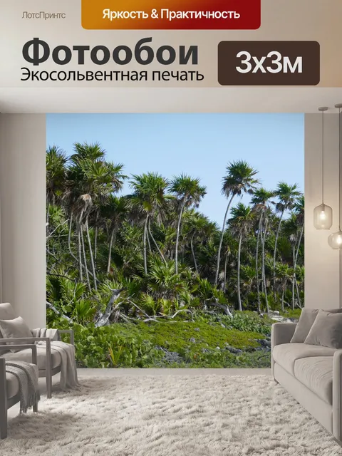 Фотообои Мексика
