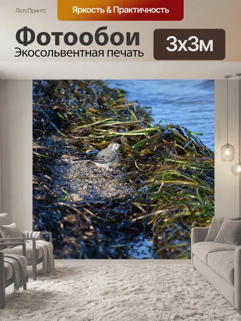 Фотообои Море