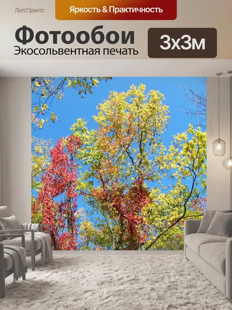 Фотообои Осенние деревья