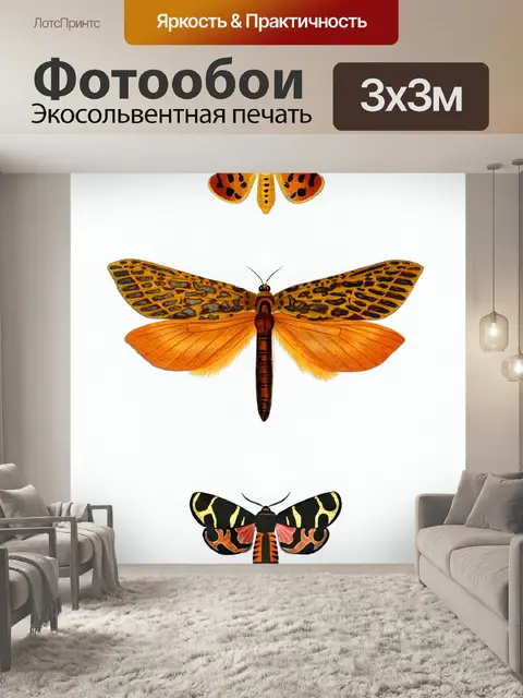 Фотообои Бабочка моли мотылек винтаж
