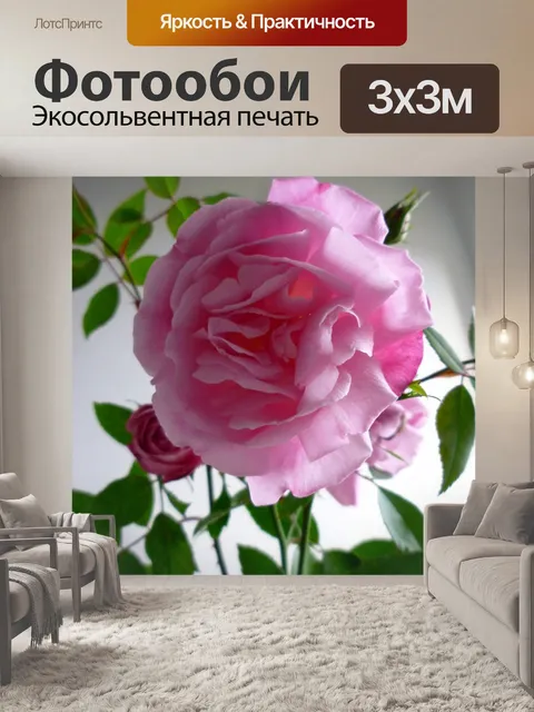 Фотообои Розовые розы