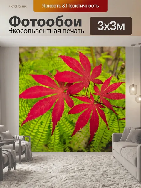 Фотообои Красный клен