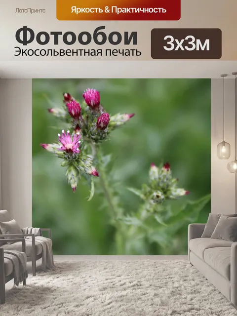 Фотообои Розовый