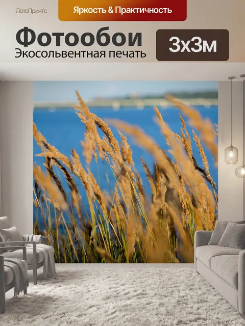 Фотообои Берег