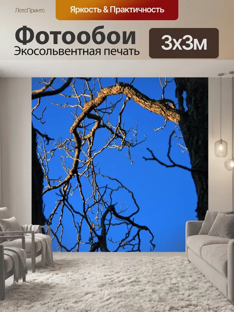 Фотообои солнечный свет на голой ветке и голубое