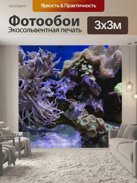 Фотообои Сцены из коралловых рифов