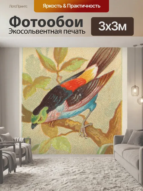 Фотообои Paradise Tanager Тропическая Птица