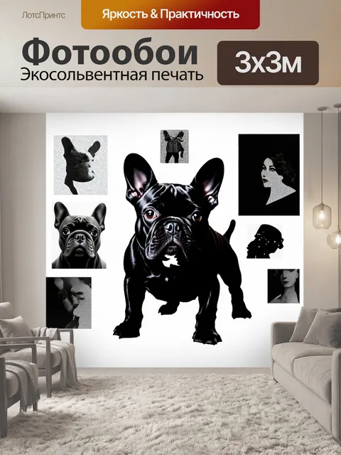 Фотообои арт-коллаж, включающий фотографии и графические элементы черного французского бульдога на белом фоне…