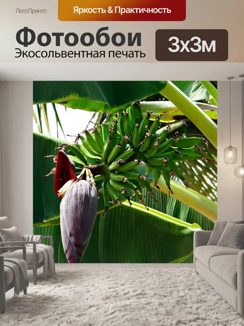 Фотообои Банан