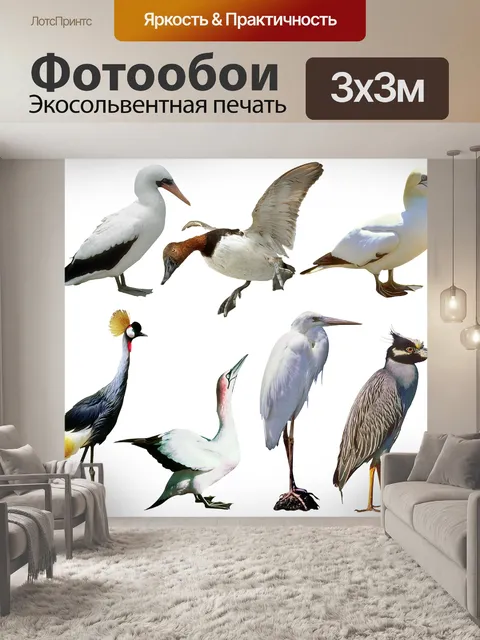 Фотообои Птица