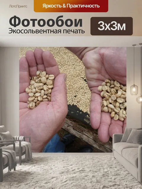 Фотообои Кофейное хозяйство