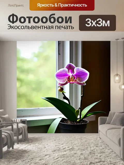 Фотообои орхидея, растущая в необычном месте, например, на окно старого дома