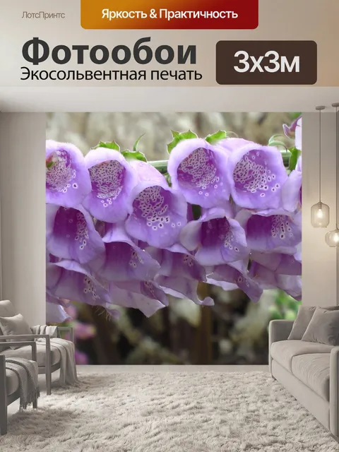 Фотообои Фиолетовый цветок
