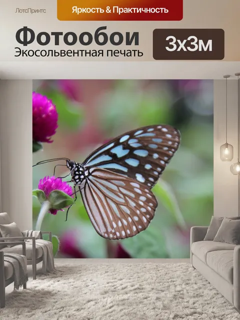 Фотообои Бабочка