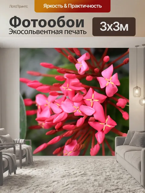 Фотообои Розовые тропические цветы