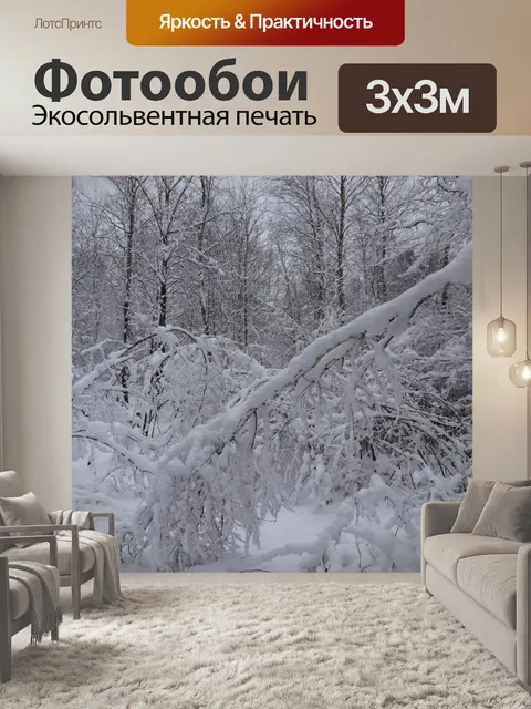 Фотообои Лес, Польша