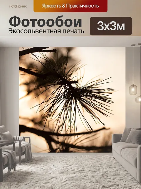Фотообои Заход солнца