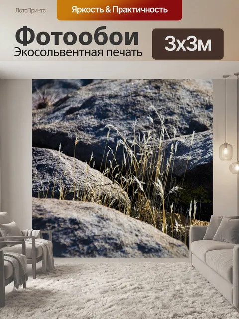 Фотообои Пустынная трава
