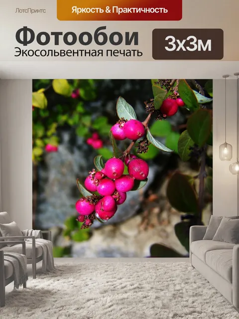 Фотообои Осенний урожай ягод