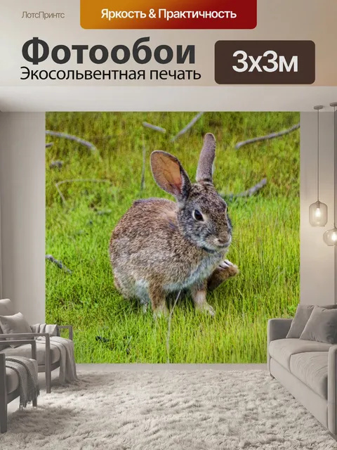 Фотообои Кролик