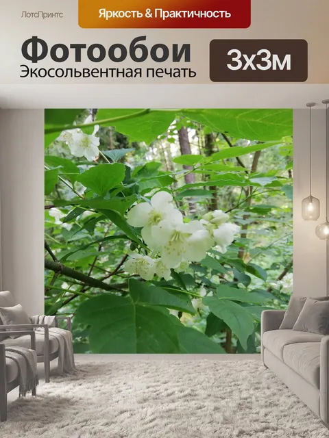 Фотообои Белый