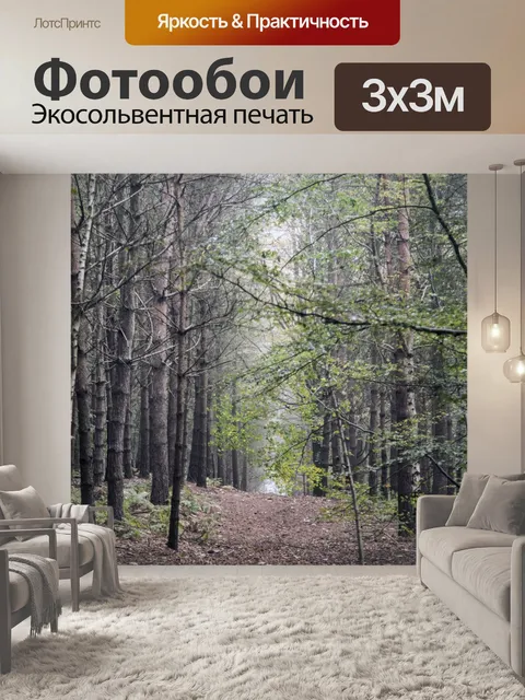 Фотообои Туманный лес