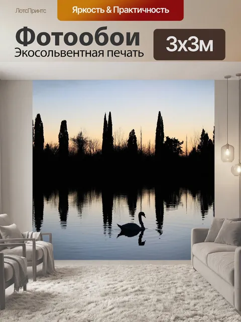 Фотообои Черный лебедь