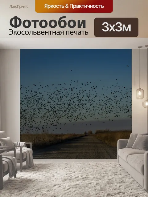 Фотообои Стая птиц