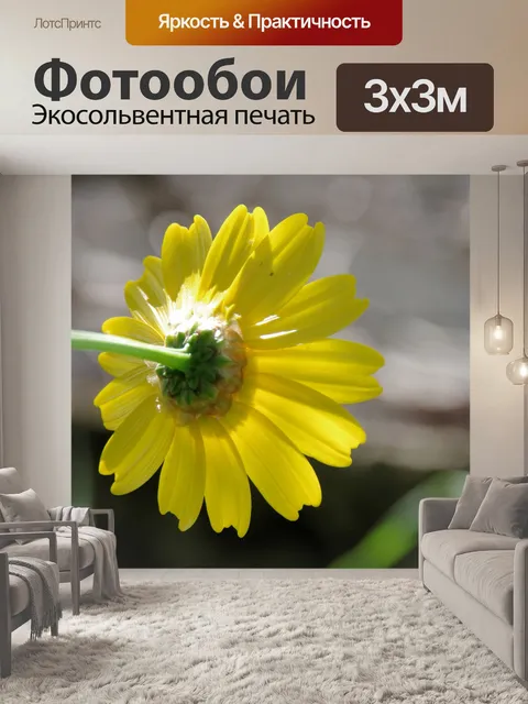 Фотообои Назад желтой ромашки