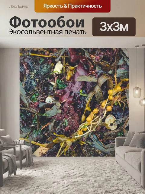 Фотообои текстура морских водорослей
