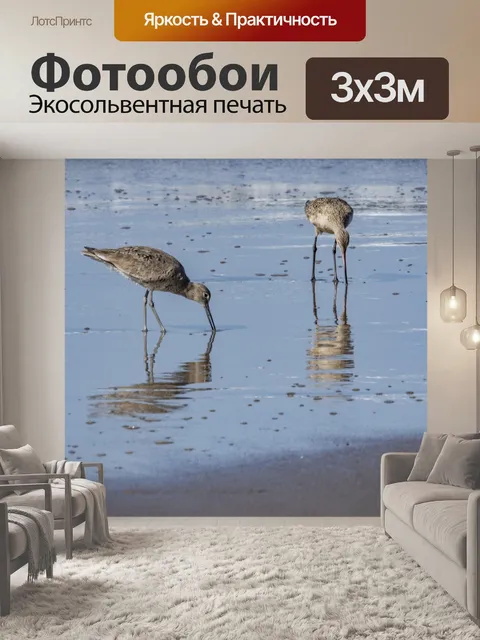 Фотообои Виллет кулик