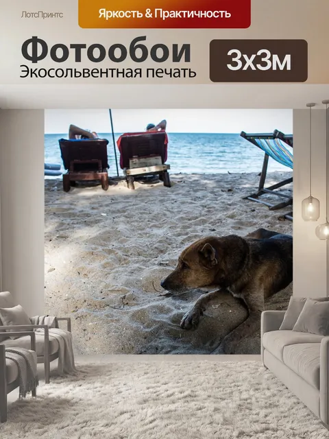 Фотообои Собака