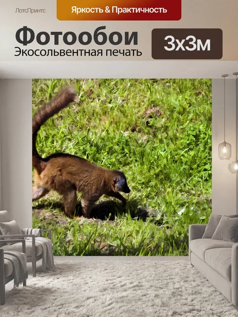 Фотообои Лемур-ходьба