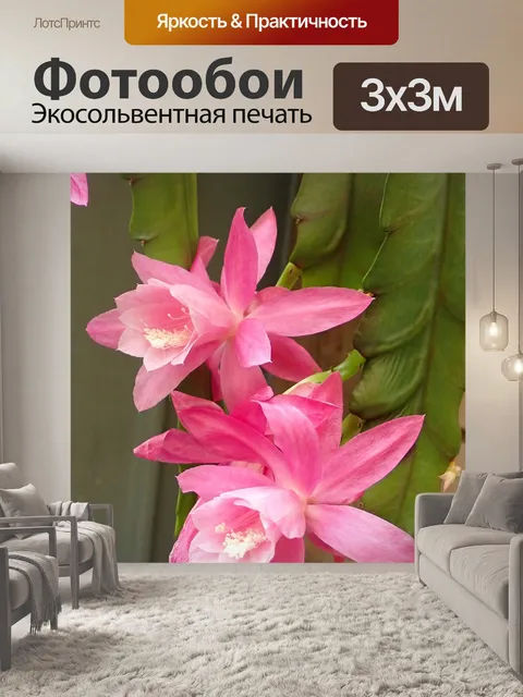 Фотообои Цветы