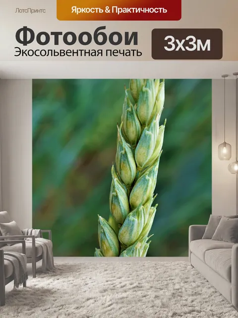 Фотообои Пшеничный колос