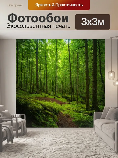 Фотообои лес с мелодиями природы, которые создают успокаивающую атмосферу