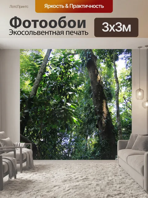 Фотообои Коста-Рика Форест