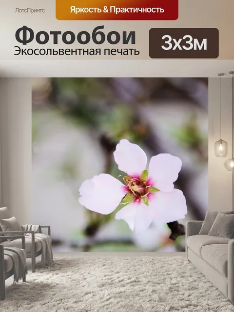 Фотообои Крупный план цветка миндаля