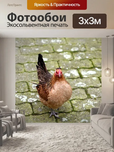 Фотообои Курица