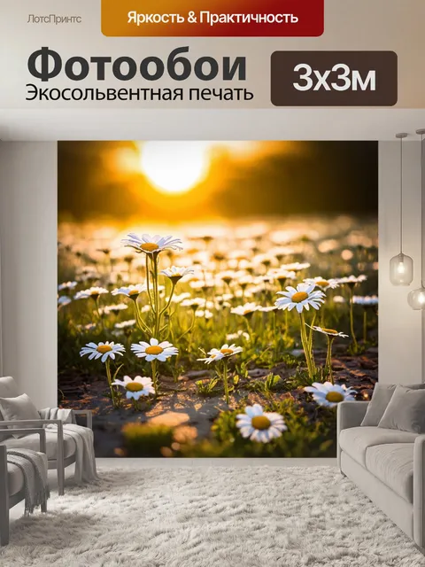 Фотообои с ромашками на фоне заката