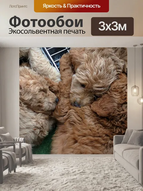 Фотообои золотые каракули