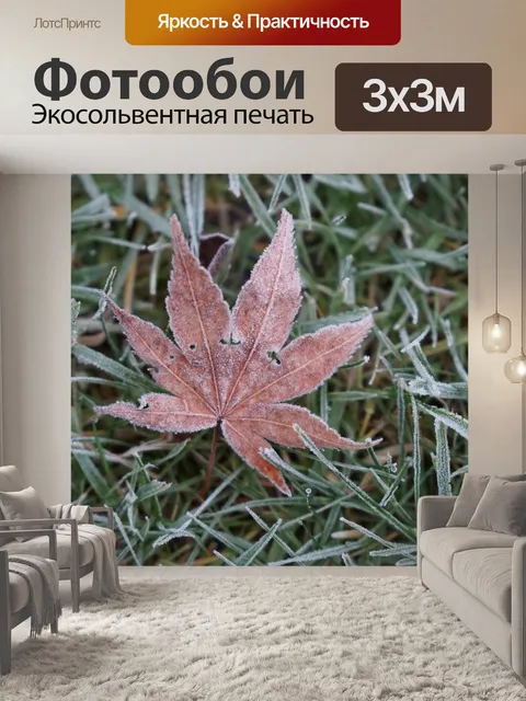Фотообои Мороз