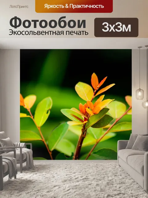 Фотообои Тропический