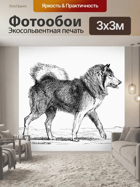 Фотообои Хаски Винтаж Иллюстрация