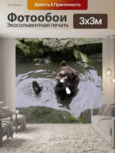 Фотообои Медведь