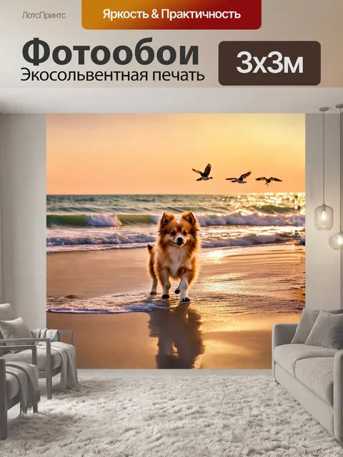 Фотообои миниатюрный шпиц, играющий на пляже в лучах заката, его мягкая шерсть сверкает в золотом свете