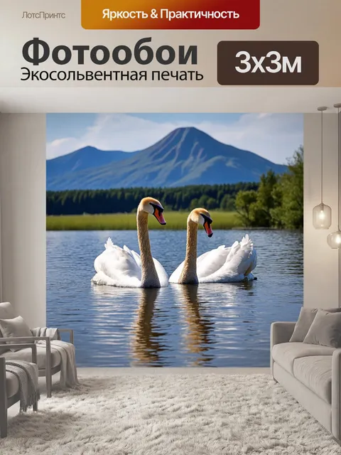 Фотообои животные, пара лебедей, плавающих в спокойном озере с отражением гор
