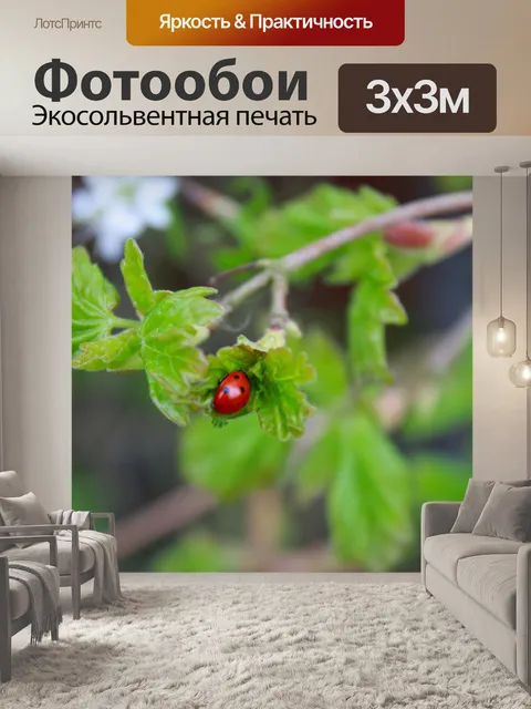 Фотообои Божья коровка