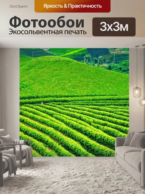 Фотообои природа в стиле густав климт: чайная плантация